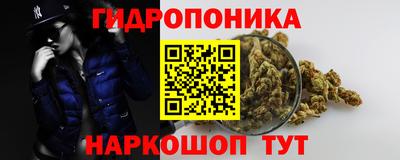 прущие грибы Аша
