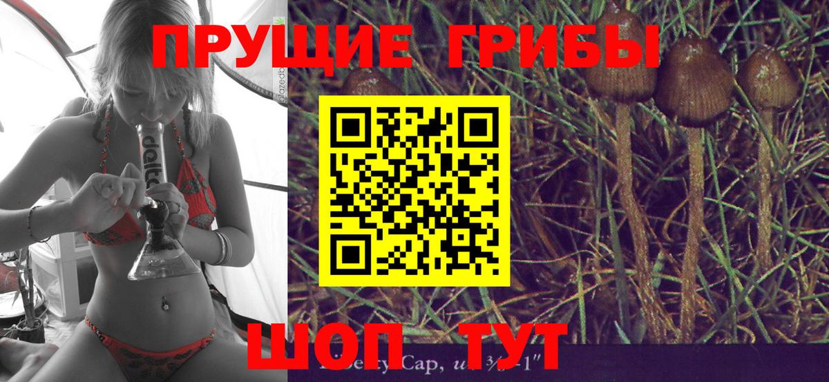 Бийск  Галлюциногенные грибы Psilocybe  Вход с VPN 